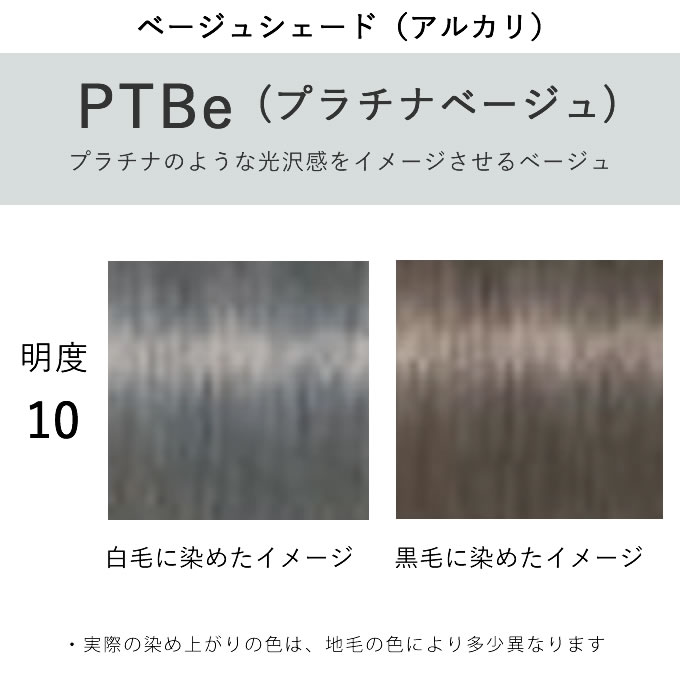 イコラブ IGORA ROYAL シュワルツコフ イゴラ ロイヤル ピクサム-F PTBe10