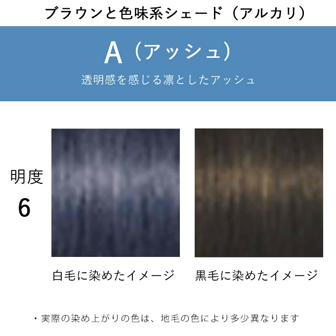 IGORA ROYAL シュワルツコフ イゴラ ロイヤル ピクサム-F A6 アッシュ