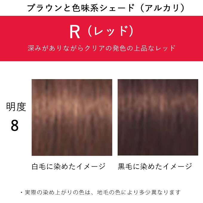 IGORA ROYAL シュワルツコフ イゴラ ロイヤル ピクサム-F B6 ブラウン