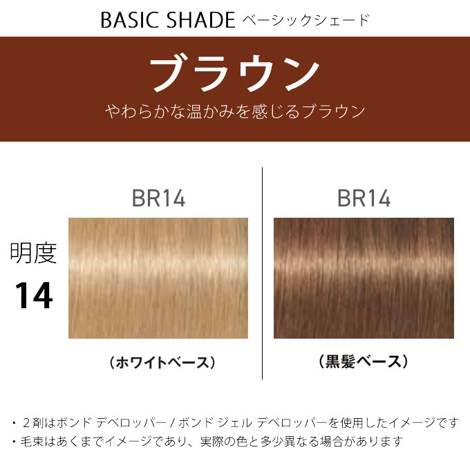 FIBERPLEX シュワルツコフ ファイバープレックス ボンドカラー BR14