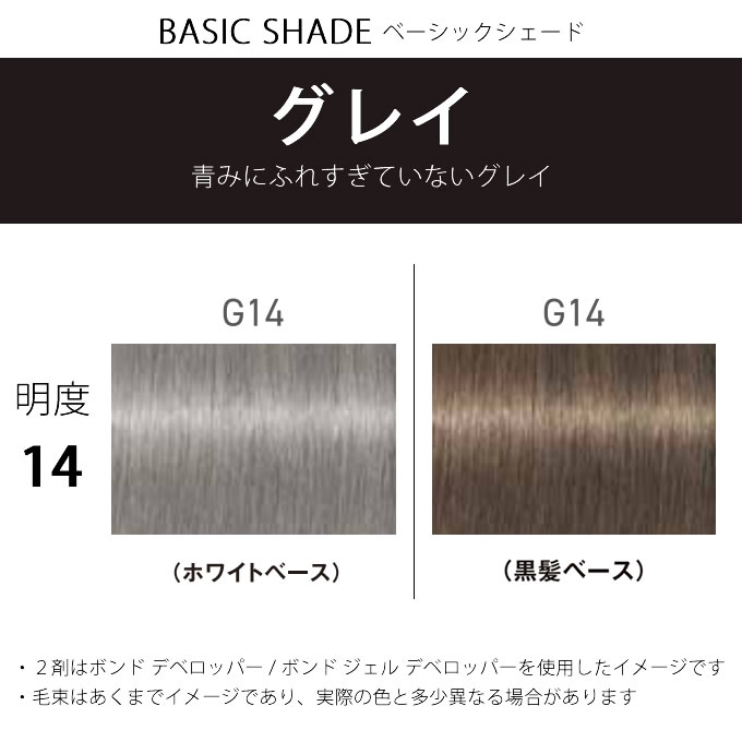 FIBERPLEX シュワルツコフ ファイバープレックス ボンドカラー G14 80g