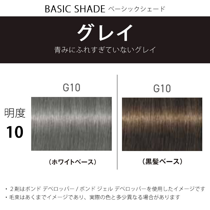 FIBERPLEX シュワルツコフ ファイバープレックス ボンドカラー G10 80g