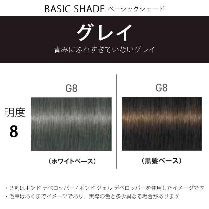 FIBERPLEX シュワルツコフ ファイバープレックス ボンドカラー G8 80g
