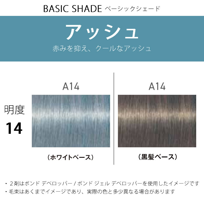 FIBERPLEX シュワルツコフ ファイバープレックス ボンドカラー A14 80g
