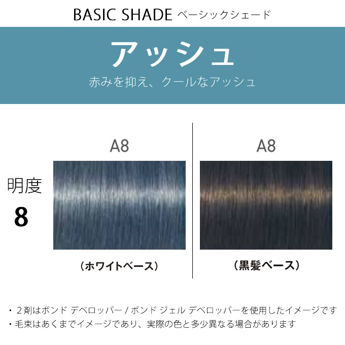 FIBERPLEX シュワルツコフ ファイバープレックス ボンドカラー A8 80g