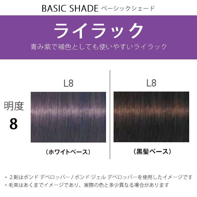 FIBERPLEX シュワルツコフ ファイバープレックス ボンドカラー L8 80g