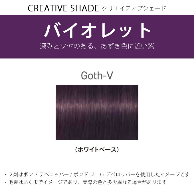 シュワルツコフ ファイバープレックス ボンドカラー Goth-V 80g （第1剤） 医薬部外品｜nakano-dy｜02