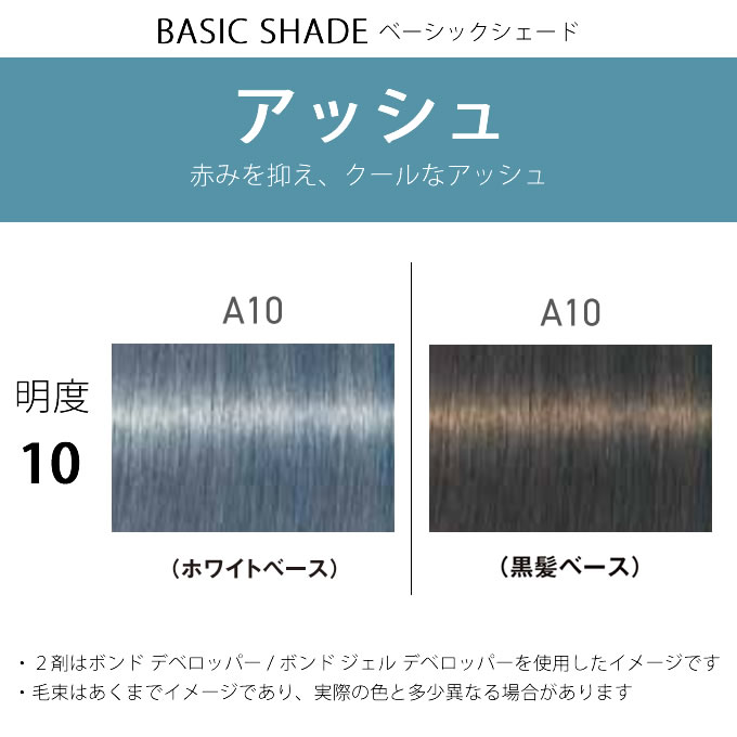 FIBERPLEX シュワルツコフ ファイバープレックス ボンドカラー A10 80g
