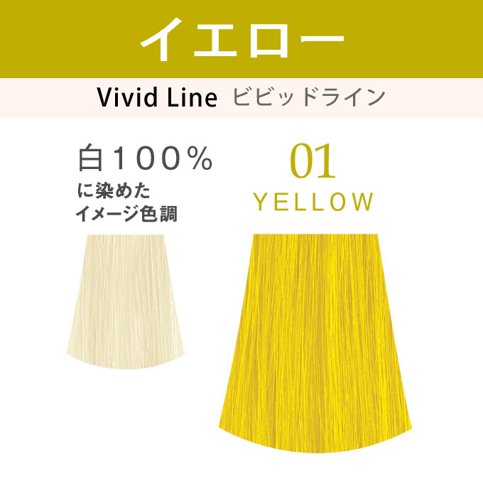 N. ナプラ エヌドット アシッドカラー イエロー 190g : サロン専売品の