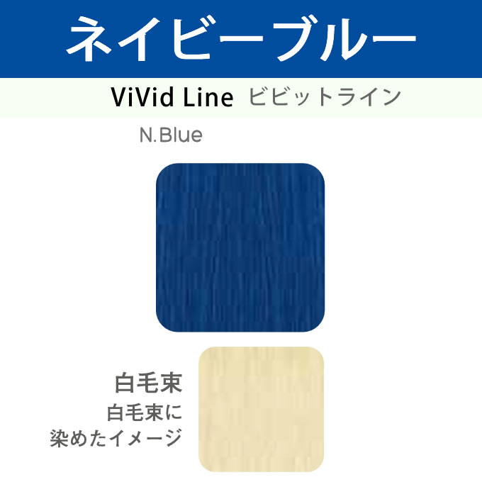 oasic アリミノ カラーストーリー オアシック N.Blue ネイビーブルー