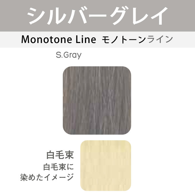 oasic アリミノ カラーストーリー オアシック S.Gray シルバーグレイ