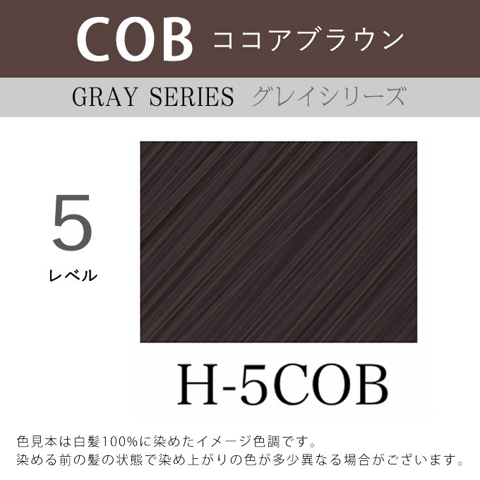 プロクリスタル アペティート化粧品 ハイブリッドカラー H-8COB