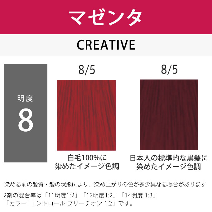 栄李　コレストンパーフェクト　5/07 8本 セット コレストンパーフェクトプラス 8/91(ヴェールグレイ) 80g