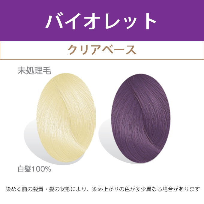 SOLITAIRE アモロス ソリティア プリチャーム V バイオレット 150g