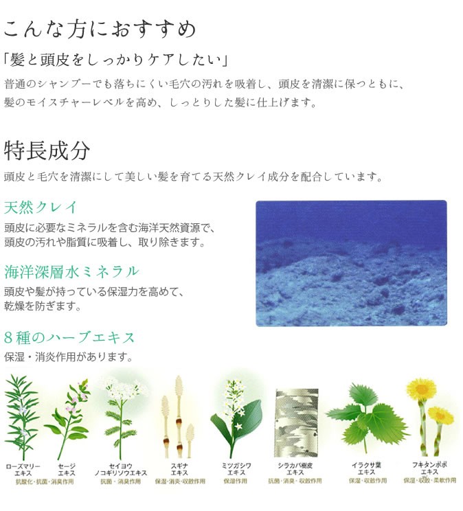 モルトベーネ クレイエステ シャンプー Ex 330ml ナカノザダイレクト