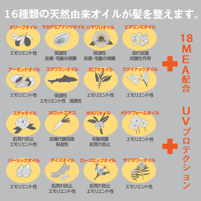 ハホニコ プロ ハホニコ 十六油 ジュウロクユ 1000mL (詰替) : サロン