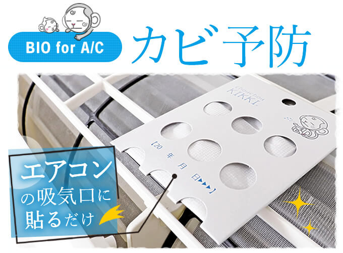 サロン専売品のナカノザダイレクト - シュシュキッキ｜Yahoo!ショッピング