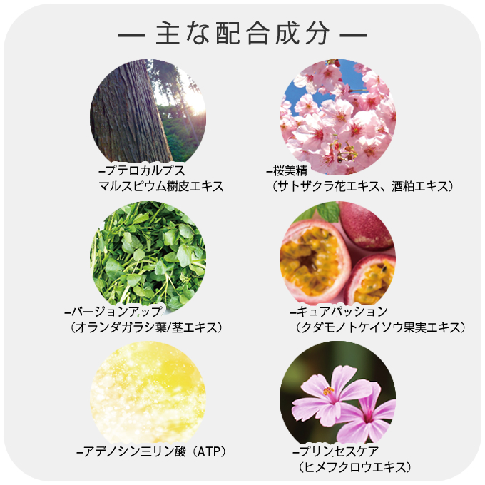putelo（プテロ） AR エッセンスplus+ 140mL : サロン専売品のナカノザ