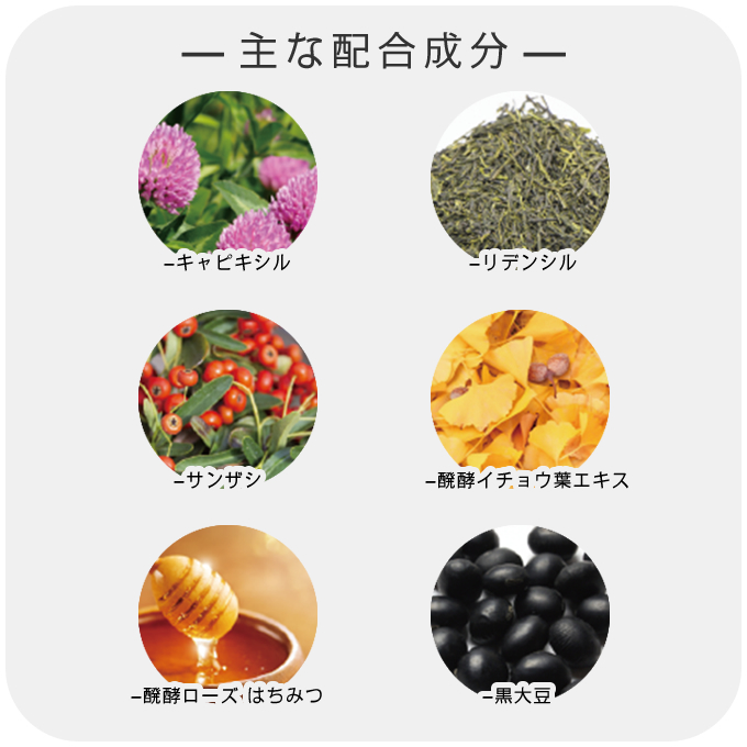 putelo（プテロ） AR エッセンスUprise 500mL (詰替) 業務用 : サロン