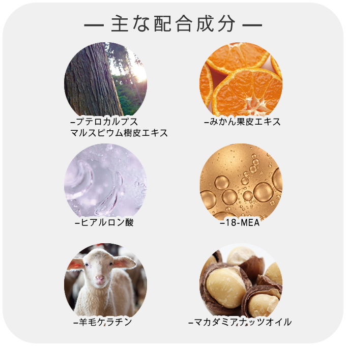 putelo（プテロ） AR ヘア＆スカルプパック グランディール 1000g (詰