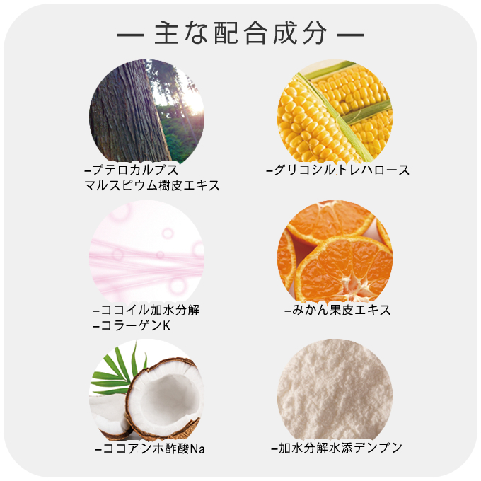 putelo プテロ AR シャンプー グランディール 1500mL (詰替) 業務用_1