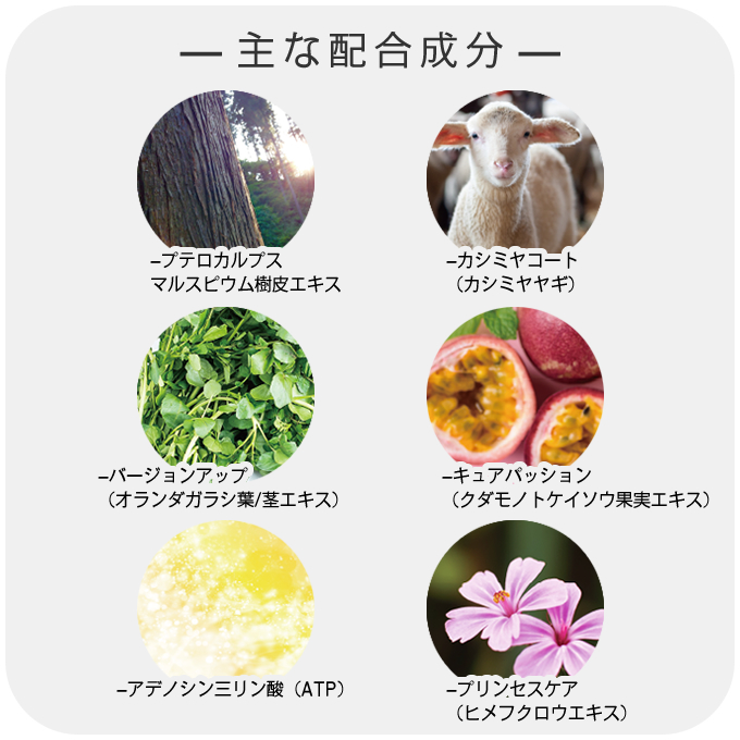 putelo（プテロ） AR ヘア＆スカルプパック 1000g (詰替) : サロン専売