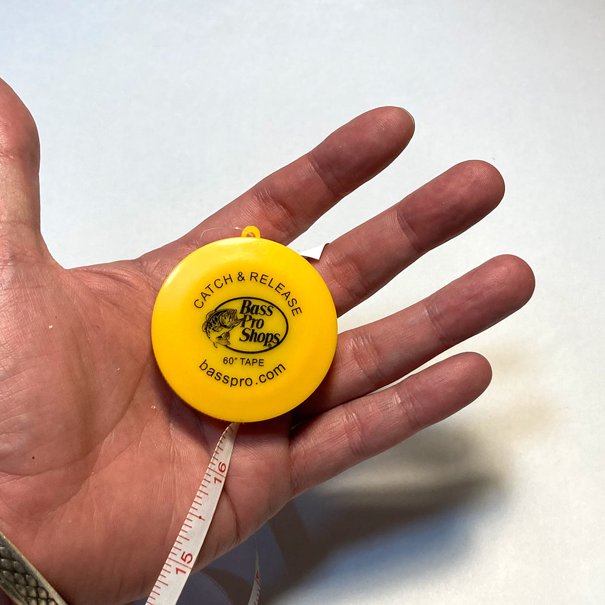 basspro-tape-measure_2.jpg
