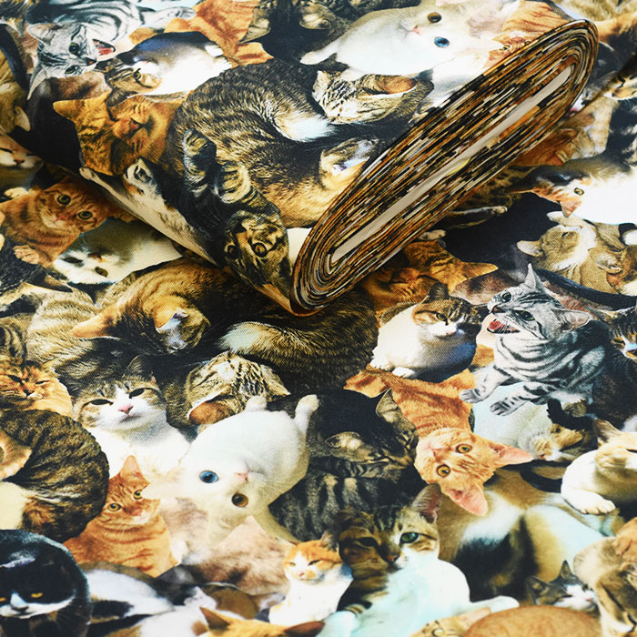 ネコちゃん大集合 オックス インクジェットプリント リアルプリント