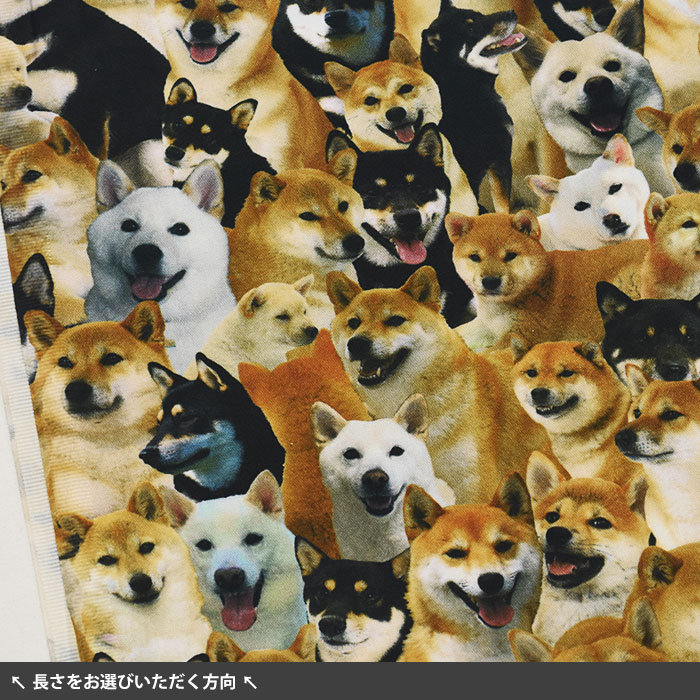 リアルヘッド　仁面犬　三郎　レアカラー ワンちゃん大集合 オックス 柴犬 インクジェットプリント リアル