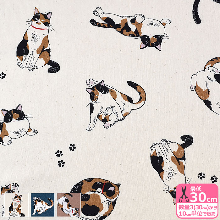 たま　ねこばば　帯なし 廃版 たま ねこばば 帯なし