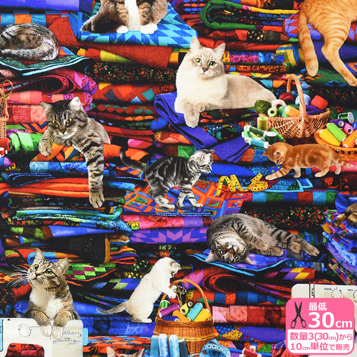 cat-cd3080_1.jpg