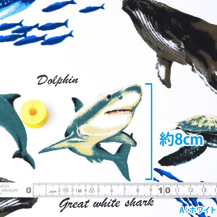 Cool Ocean Friends オックス 魚 魚柄 サメ サメ柄 ウミガメ ウミガメ