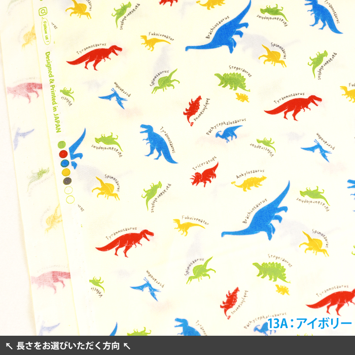 【びんびん】 恐竜柄三点セット スケーター 3点セット ディノサウルス 子供 エプロン 三角巾 巾着 恐竜