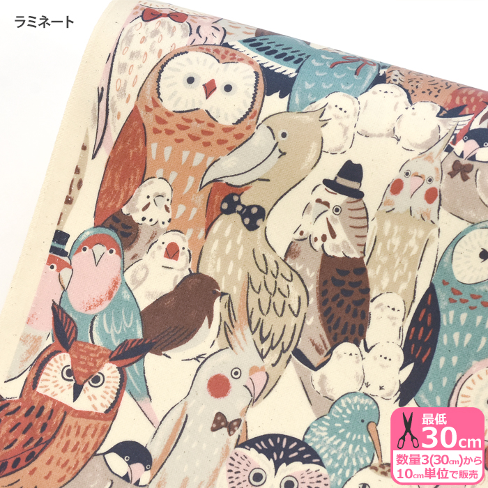 ラミネート Powerful animal フクロウと小鳥 オックスラミネート