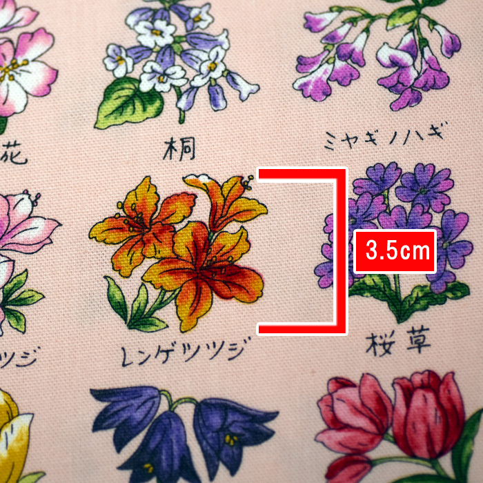 ご当地花柄 オックス 生地 布 KOKKA YPA-51000-1 数量3(30cm)から10cm