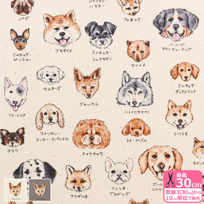 犬　絵 いぬのきもち 2025年4月号』震え特集にイラストを描きました
