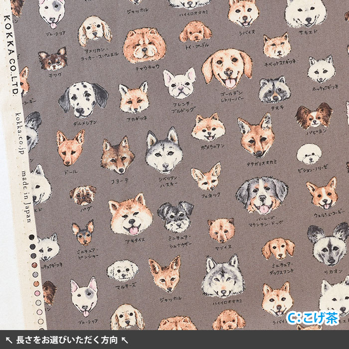 いぬ JコートB【普通犬用】｜犬用レインコート｜WHCY(ウォームハート