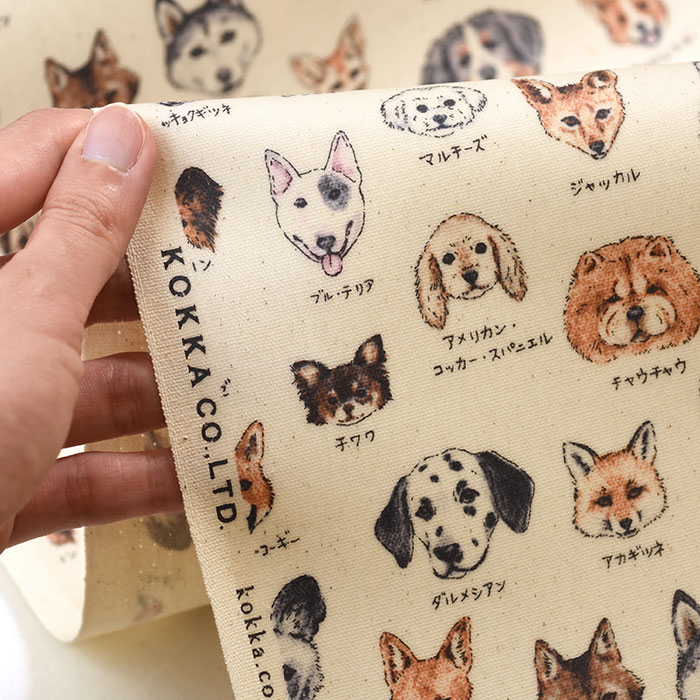 ラミネート 図鑑シリーズ イヌ科 ビニコ ビニールコーティング ドッグ