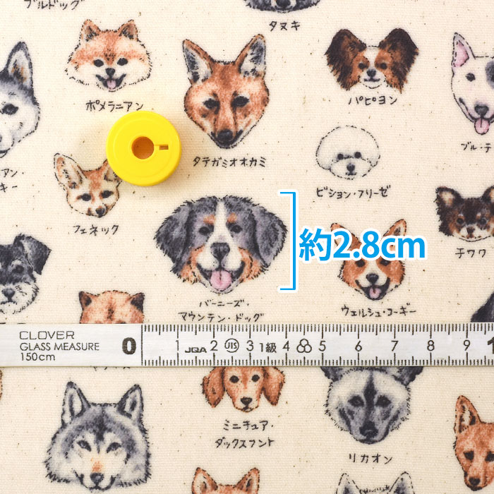 ラミネート 図鑑シリーズ イヌ科 ビニコ ビニールコーティング ドッグ
