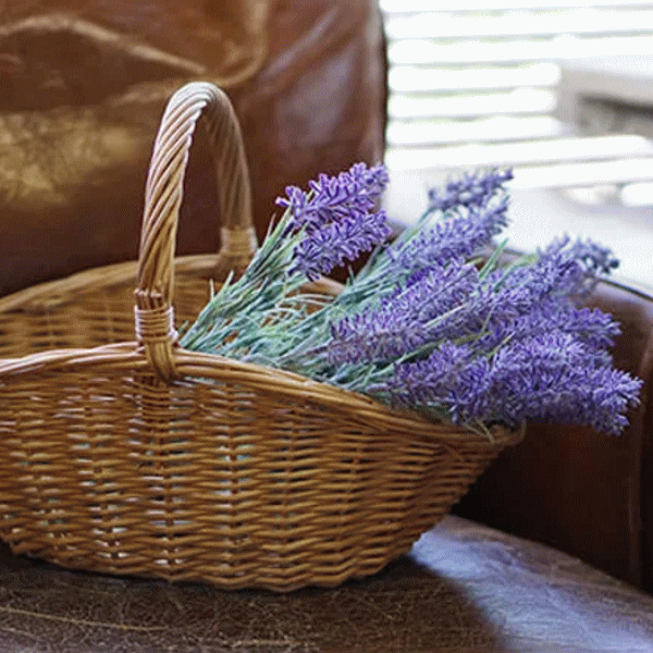 送料無料 ハンドル付きバスケット デザインかご（片手・両手） Mサイズ