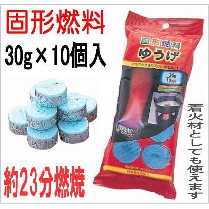 池永鉄工 送料無料 鉄瓶 宝寿（ミニ）池永鉄工 南部鉄瓶 0.6L