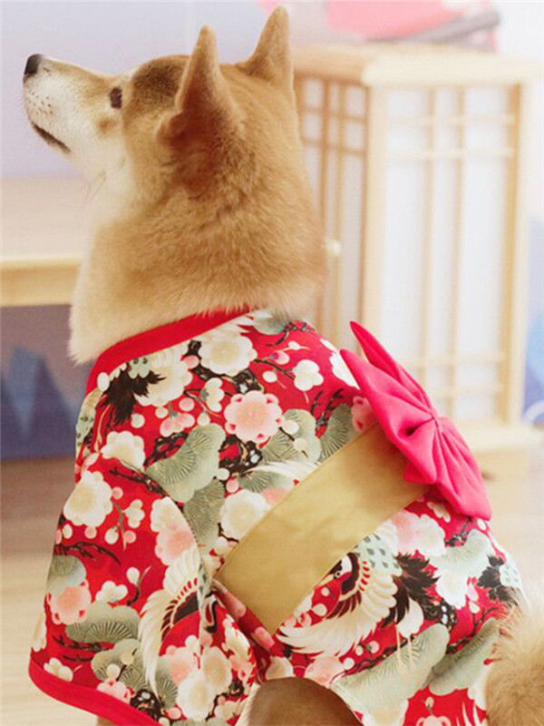 犬服 猫服 お祭り 女の子 正月 記念写真 ペットウェア 撮影 お着物 新年 ドッグウェア 年賀状 男の子 晴れ着 キャットウェア
