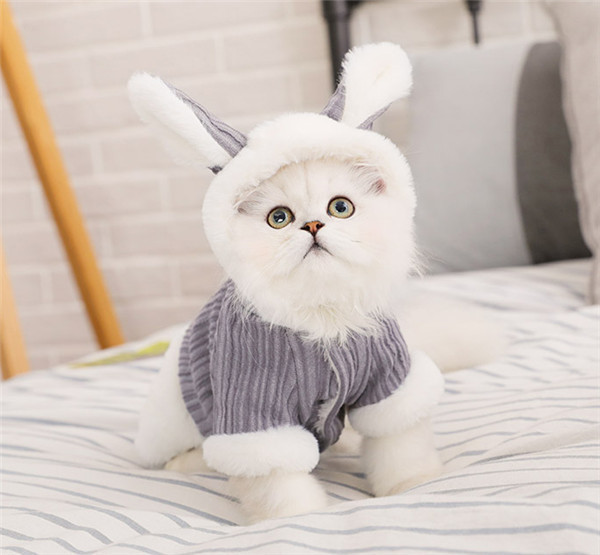 価格 交渉 送料無料 猫服 犬服 ペット服 裏ボア フード付き ドッグウェア パーカー ペットウェア 秋冬用 厚手 防寒 犬用ウェア 犬猫用 ペット用品 犬の服 送料無料