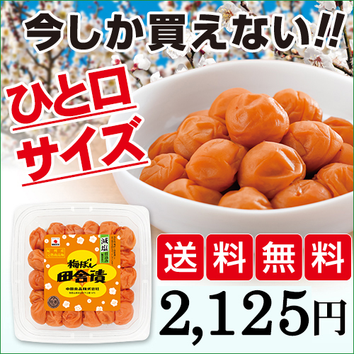 中田食品 梅干し 数量限定 紀州南高梅 しらら Mサイズ 300g 完熟