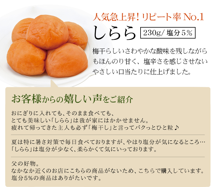 【完売しました】父の日 梅干しギフト プレゼン...の詳細画像4
