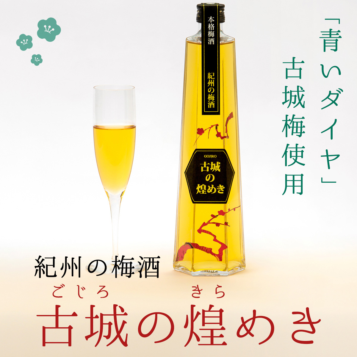 梅酒 古城梅 紀州の梅酒 古城の煌めき 500ml 中田食品 青梅 GI和歌山梅酒 :3623:紀州梅の里なかた Yahoo!店 - 通販 -  Yahoo!ショッピング