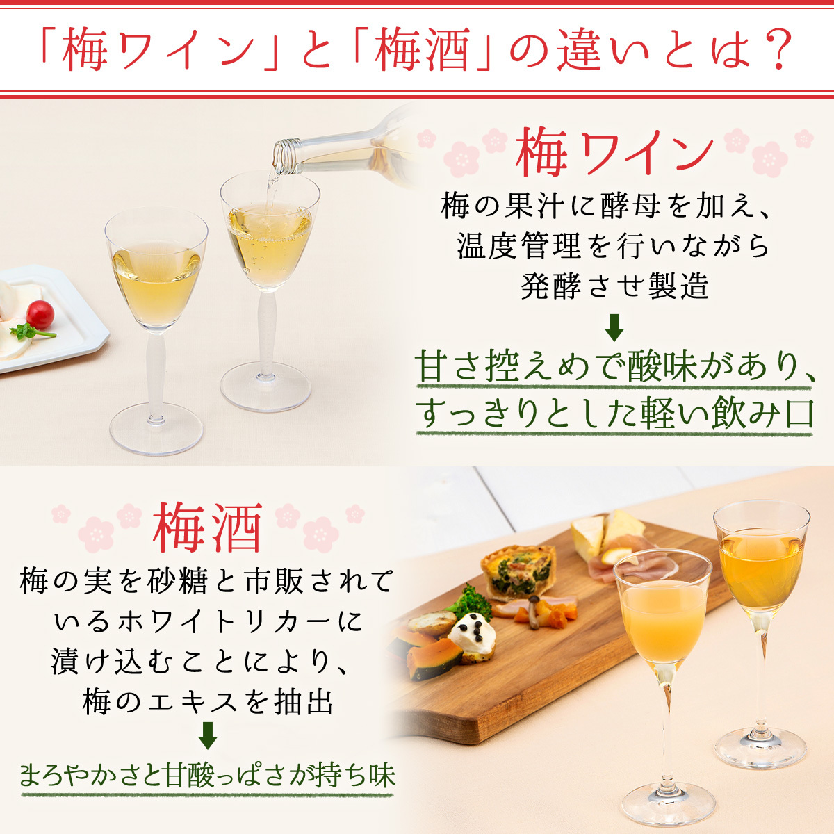 トップ2