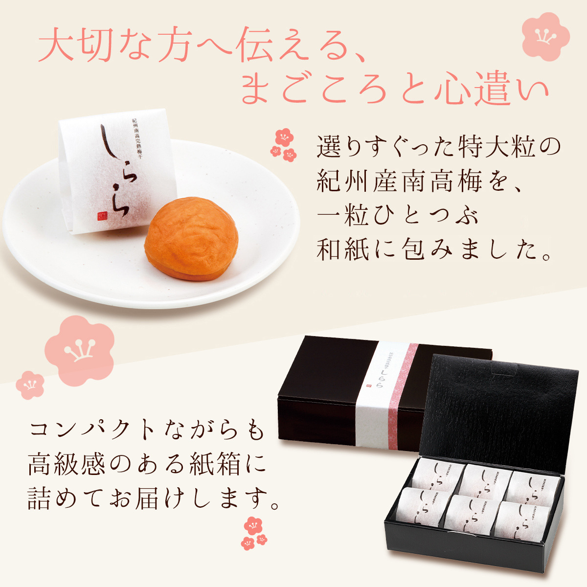 梅干し 個包装 ギフト 贈り物 お返し お礼 ...の詳細画像1