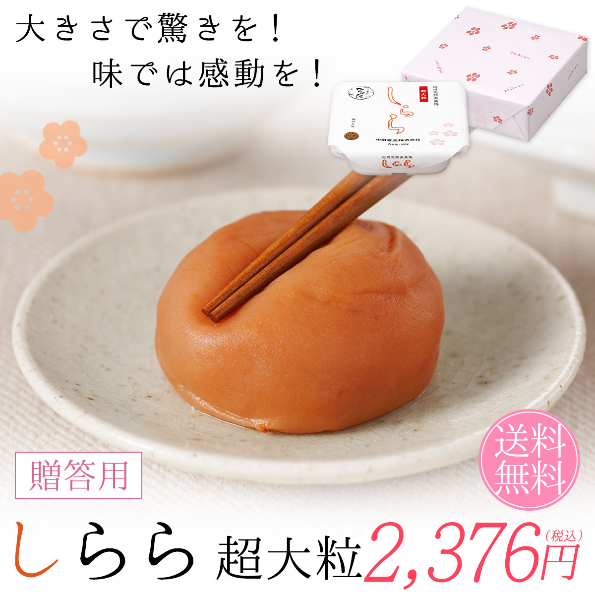 しらら超大粒TOP