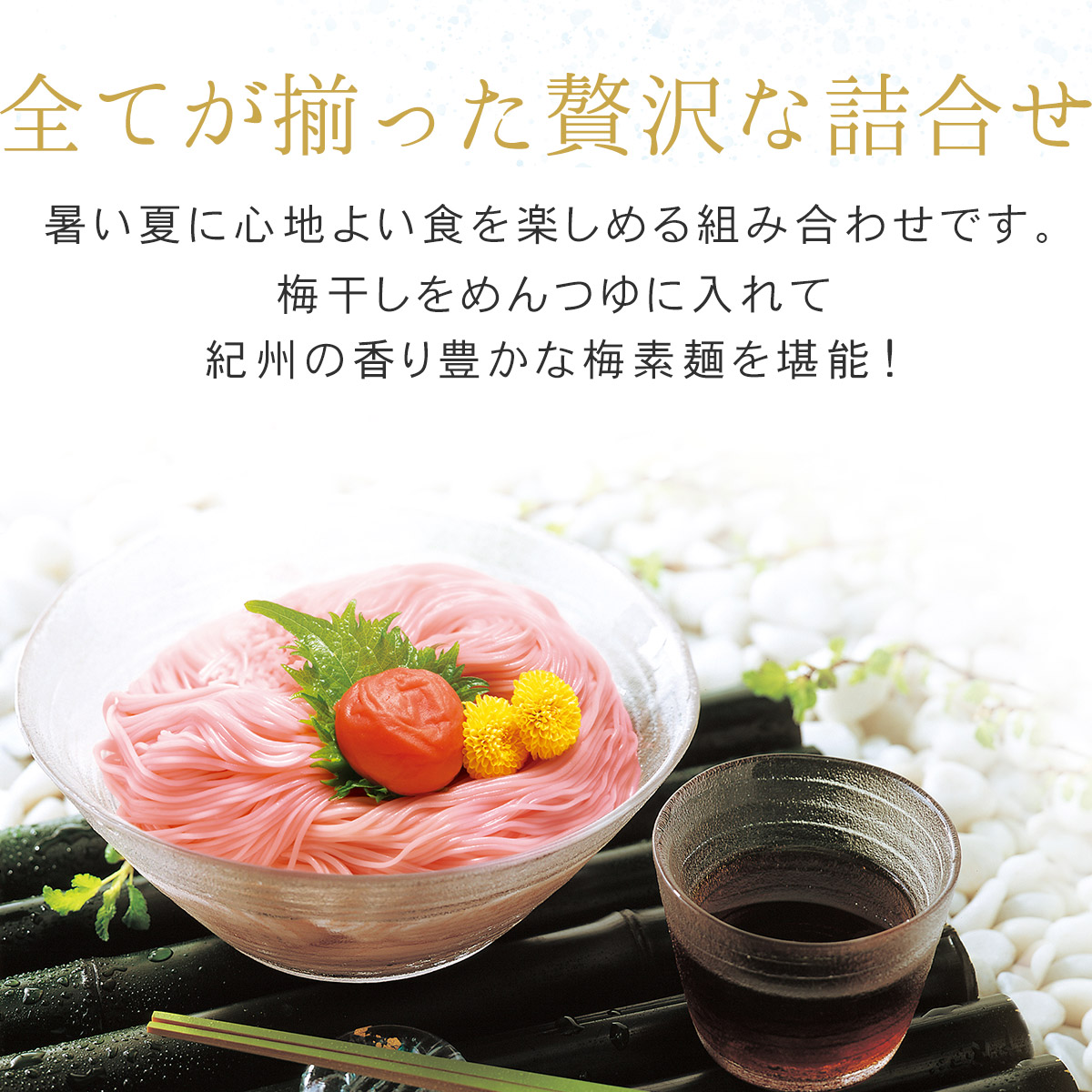 中田食品 【完売しました】梅そうめん 梅干し ギフト セット お中元